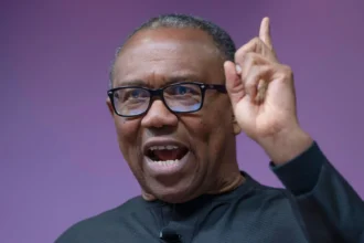 You must first become presidential candidate before debating with me – Peter Obi knocks Umahi