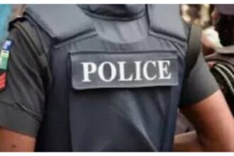 ALGON chairman arrested with loaded pistol in Kano gunrunning probe