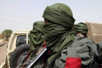 Bandits attack palace, kill district head in Niger