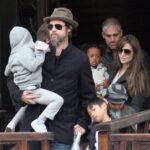 Brad Pitt Says He Is ‘Back Off The Wagon,’ But He Is ‘Professional About It’