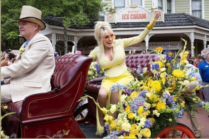 Dolly Parton Reportedly Made Plans Before Her Death To Prevent Loved Ones From ‘Fighting Over’ Her Fortune