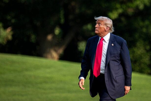 Donald Trump Revives Reflecting Pool Feud With Jeanine Pirro