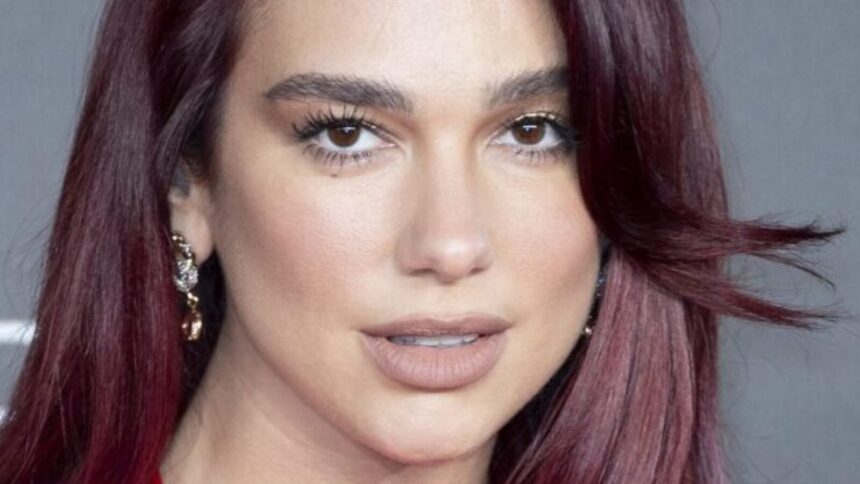 Dua Lipa Exposing Chest In See-Through Braless Top Highlights Her ‘Cherries’