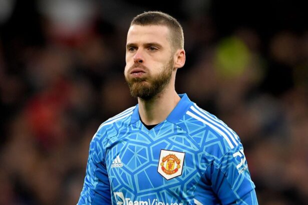 EPL: David de Gea sends message to Man United after 2-0 defeat to Hull City