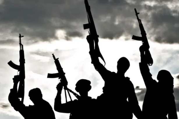 Gunmen ambush joint security patrol in Plateau, two operatives feared dead