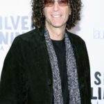 Howard Stern Makes Stunning Career Pivot After SiriusXM Setback