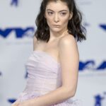 Lorde Halts Lollapalooza Set As Fans Reportedly Pass Out In Extreme Heat