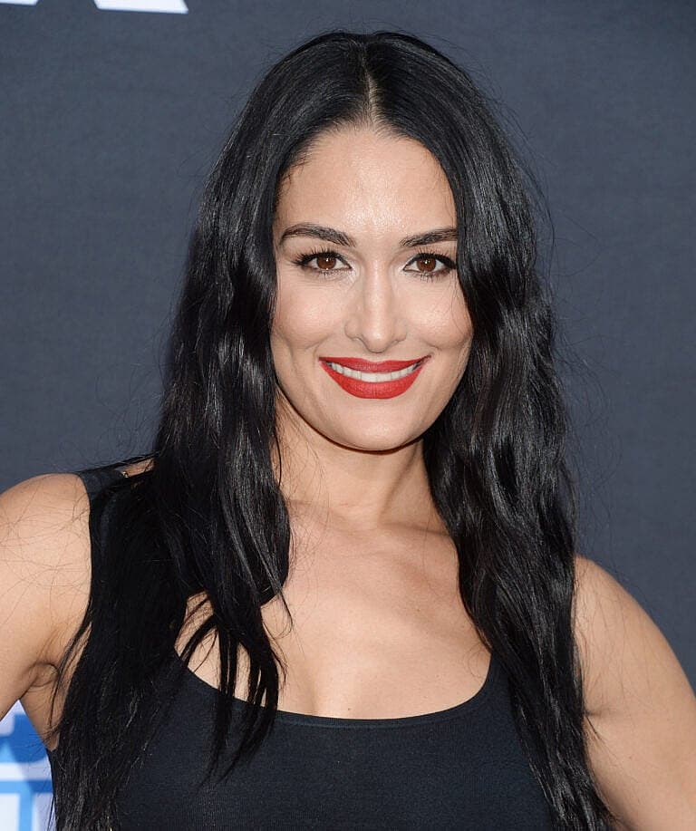 Nikki Garcia Is Good With Flying Solo Forever After Artem Chigvintsev Split