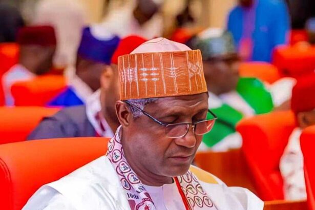 Northern senators urge FG to rescue victims abducted in Niger mosque attack