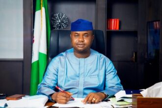 NRS boss, Adedeji under fire over Nigerian economy comment