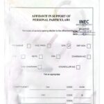 Oyo 2027: INEC confirms Adegoke as ADC guber candidate 