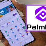“PalmPay Denies Unlawful ₦750m Debit From Kudiwave Account” — Says Transfer Was Made To Police Recovery Account On Court Order - Naijaonpoint.com