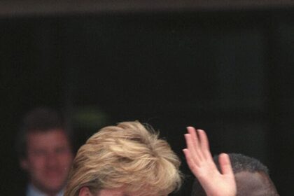 Princess Diana Would Have Been ‘The Ideal Person’ To Heal Prince Harry And William’s Rift, Former Bodyguard Says