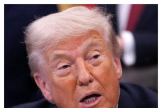 Trump administration revokes over 175,000 US visas