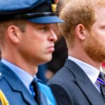 Harry And William Take Similar Approach To Earl Spencer's Claims