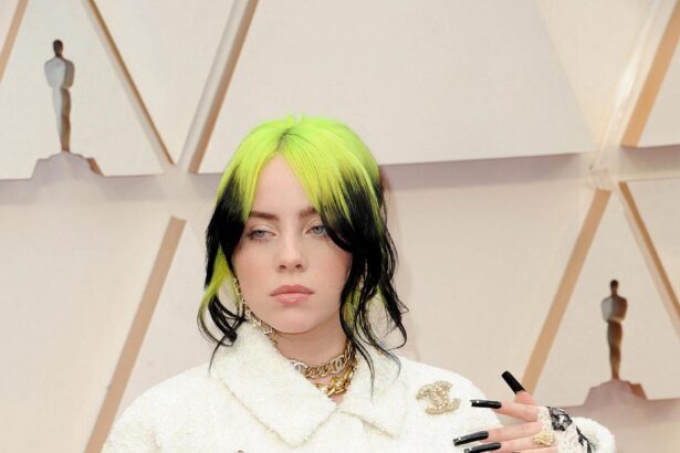 Billie Eilish Mocked As Critics Turn Her Own ‘Stolen Land’ Words Against Her