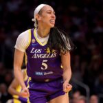 Culprit Fired In Racist Text Sent To WNBA Star Dearica Hamby
