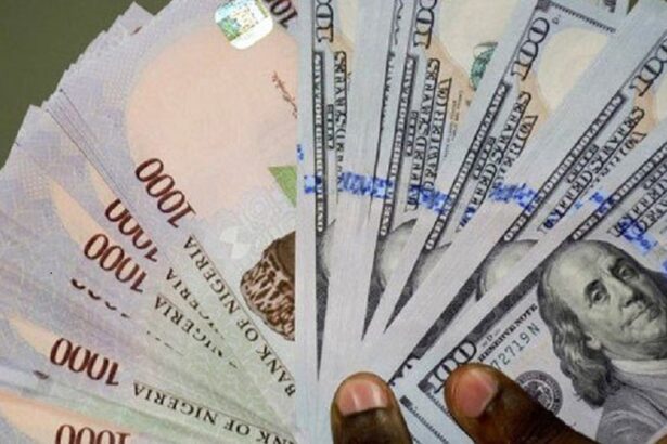 Dollar to Naira exchange rate Today, September 3, 2026: Naira records highest appreciation